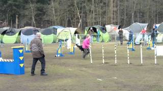 Chanel jumping Zonhoven 20150314 3ème sur 98