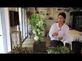 플라워레슨 410 롱앤로운 테이블 장식 센터피스 flower lesson 410 long u0026low table decor