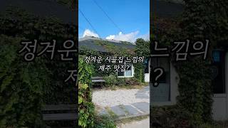 감성 제대로인 제주 칼국수집🌴푸릇한 제주도 뷰 구경하면서 점심먹기 딱 좋은 곳