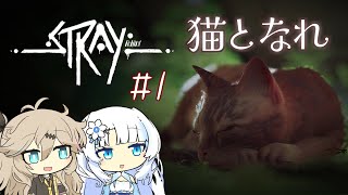 【VOICEVOX実況】はぐれ猫、サイバーなシティにはばかる #1【Stray】