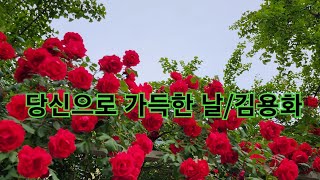 당신으로 가득한 날|아침인사|휴tv365