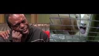 Best Cry Ever - Screaming Goat Mashup