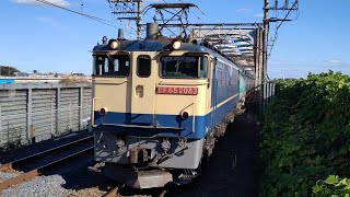 [貨物列車同士のすれ違い]11月14日三郷駅 新鶴見A55運用 臨8685レ EF65 2083 \u0026 隅田川シャトル 吹田A12運用 75レ EF66  123