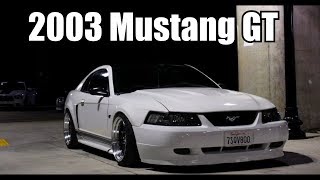 My New Edge Mustang GT! (Mustang walk around)