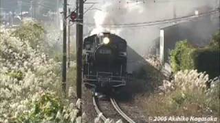 大井川鐵道・川根路の煙 vol.4 '05秋 2