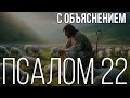 Псалом 22: Господь Пастырь мой. Открытие уникального Псалма Давида, сердце Пастыря