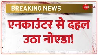 UP Encounter Update: एनकाउंटर से दहल उठा नोएडा! Breaking News | Noida Police | CM Yogi | Latest