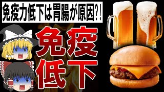 【ゆっくり解説】40代は絶対食べるな!!免疫力が低下する食べ物4選