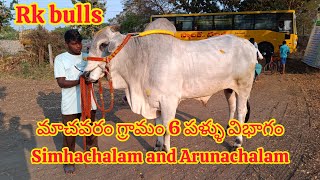 మాచవరం గ్రామం 6 పళ్ళు విభాగం RK bulls Simhachalam and Arunachalam