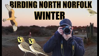 Winter Birding in North Norfolk