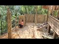 Design a fence around the girl's bamboo house | Lý Tiểu An