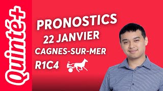 PRONOSTICS QUINTÉ+ DU MERCREDI 22 JANVIER : HEDE DARLING, PRÉPARÉ POUR CETTE COURSE