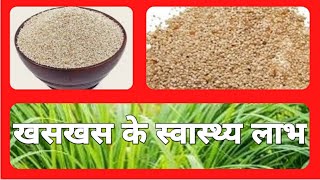 खसखस के स्वास्थ्य लाभ | health benefits of poppy seeds | khaskhas | khuskhus#poppyseed#khaskhas