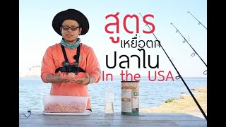 Ep.21 สูตรตกปลาไนที่นิยมใช้ในUSA   .Favorite carp bait in the USA