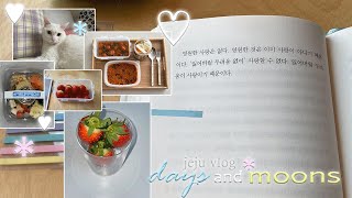 v l o g • 제주도민 그녀와 삼베의 겨울나기 ✴︎ 제주카페 홀리싯커피서플라이 ✴︎ 고요한 읽기 ✴︎ 슬로우피더 냅다 던지는 고양이 ✴︎ 제주 일상 브이로그 ✴︎