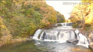 「迫力ある滝と色づいた木々のコントラスト」滑津大滝で紅葉見ごろ　宮城・七ヶ宿町【紅葉・カメラマンスケッチ】