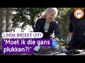 Linda breekt UIT! #47 NK Wild Barbecueën op Nationaal Park de Hoge Veluwe