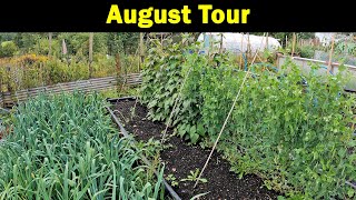 August Tour | Vegetable Beds | 3 Polytunnels | Green Side Up