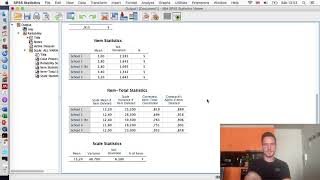 Cronbach’s alpha (scale and subscales) on SPSS with Reverse Coding and Write-Up