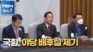 국민의힘, '야당 배후설' 제기…한동훈 \