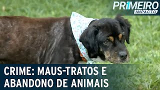 Abandono de animais e maus-tratos são registrados no Brasil | Primeiro Impacto (16/03/23)