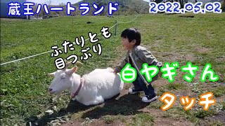 【1歳10ヶ月】☆牧場でヤギとヒツジに大興奮☆ 《宮城子どもとお出かけ》