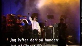 Dingo Auta Afrikkaa konsertissa vuodelta 1985