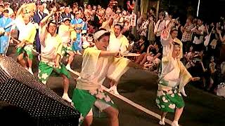 第61回東京高円寺阿波踊り／小金井さくら連