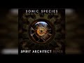 Sonic Species - Dawn Till Dusk (Spirit Architect Remix)