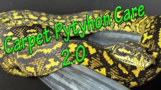 Carpet Python Care 2.0