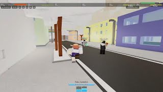 Roblox_20250108223602