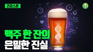 매일 맥주 한 병이 당신의 인생을 바꾸는 놀라운 이유