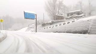 2024年12月18日(水)妙高高原駅〜赤倉観光リゾートスキー場、朝から雪が降り出しました。路面には新雪が積もり続けています。日中除雪が出そうです。