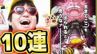 サウスト！イベントガシャ！ロー＆ネコマムシ新必殺技追加！10連ガシャ！K編！ONE PIECE