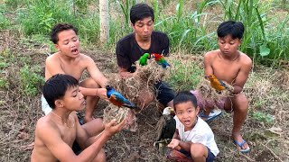 Menangkap Anak Burung Elang Di Sarangnya Langsung