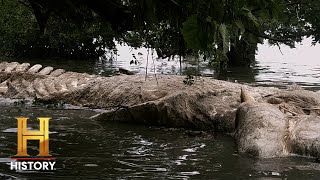 MASSIVE SEA MONSTER Washes Up in Bermuda | The Proof Is Out There: Bermuda Triangle (S1)