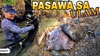 P1 - Madaming Huli, Madaming Ulam - EP1693