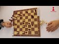 036 thelucyloo study chess daily music for study chess passion team