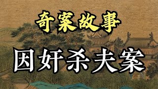 奇案故事：嫂子的毒计