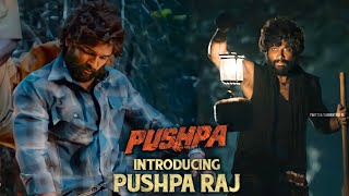 Pushpa Teaser Trailer Hindi, Allu Arjun, Rashmika Mandanna, Prelude Of Pushparaj, Pushpa Movie Hindi