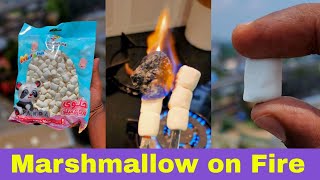 Marshmallow on Fire