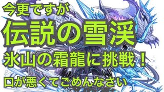 【パズドラ】#246今更ですが伝説の雪渓・氷山の霜龍に挑戦！【道楽道】