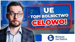 UMOWA UE-MERCOSUR. O co w niej chodzi? Rolnictwo w Europie tonie