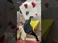 【2023年12月キッズマンスリー30】6番 bouldering スポーツクライミング