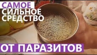 Лучшие травы от паразитов. Как избавиться от паразитов. ТРИГЕЛЬМ ОТ ПАРАЗИТОВ