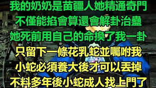 我的奶奶是苗疆人她精通奇門，不僅能掐會算還會解卦治蠱，她死前用自己的命換了我一卦，只留下一條花乳蛇並囑咐我，小蛇必須養大後才可以丟掉，不料多年後小蛇成人找上門了#故事 #靈異故事 #情感故事