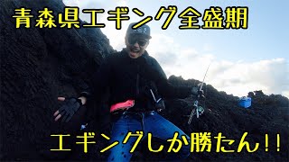 【エギング】青森県　小泊方面　楽しすぎてエギングしかやってない僕達。