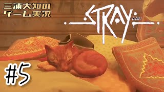 #5 【秘密の部屋とパパの行方】三浦大知の「Stray」