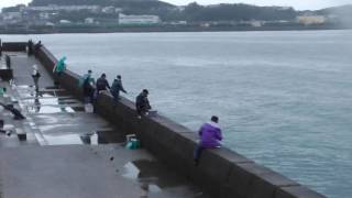 小雨の降る中カッパを着て竿を出す釣り人　１１月１９日土曜日