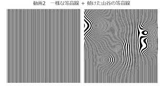 モアレで見るlog(z)関数